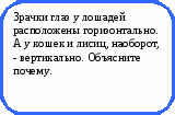 Викторина Физика в природе