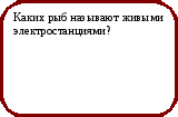 Викторина Физика в природе