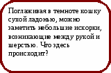 Викторина Физика в природе