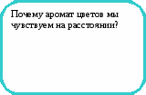 Викторина Физика в природе