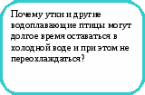 Викторина Физика в природе