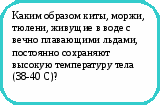 Викторина Физика в природе