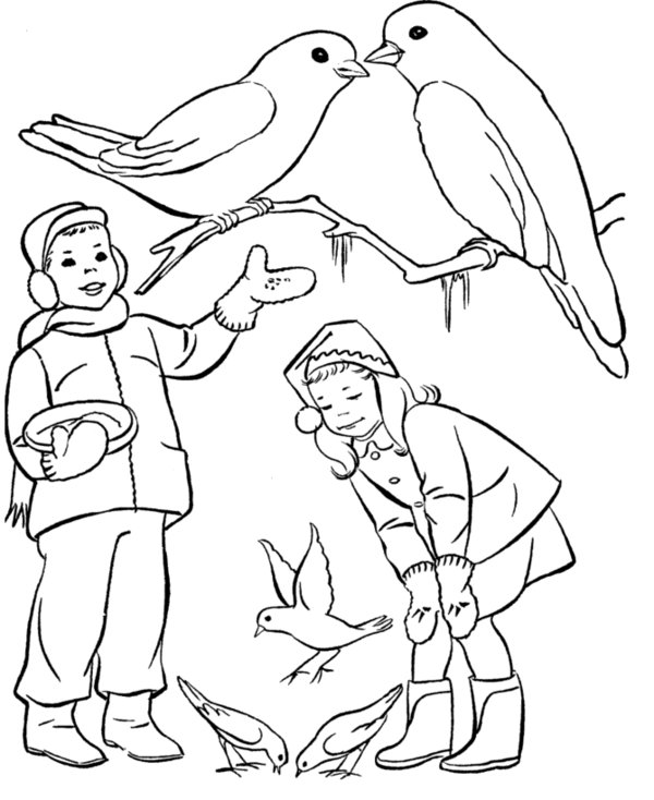 Рабочая тетрадь по окружающему миру «Помоги зимующим птицам» 2-й вариант для учащихся начальных классов