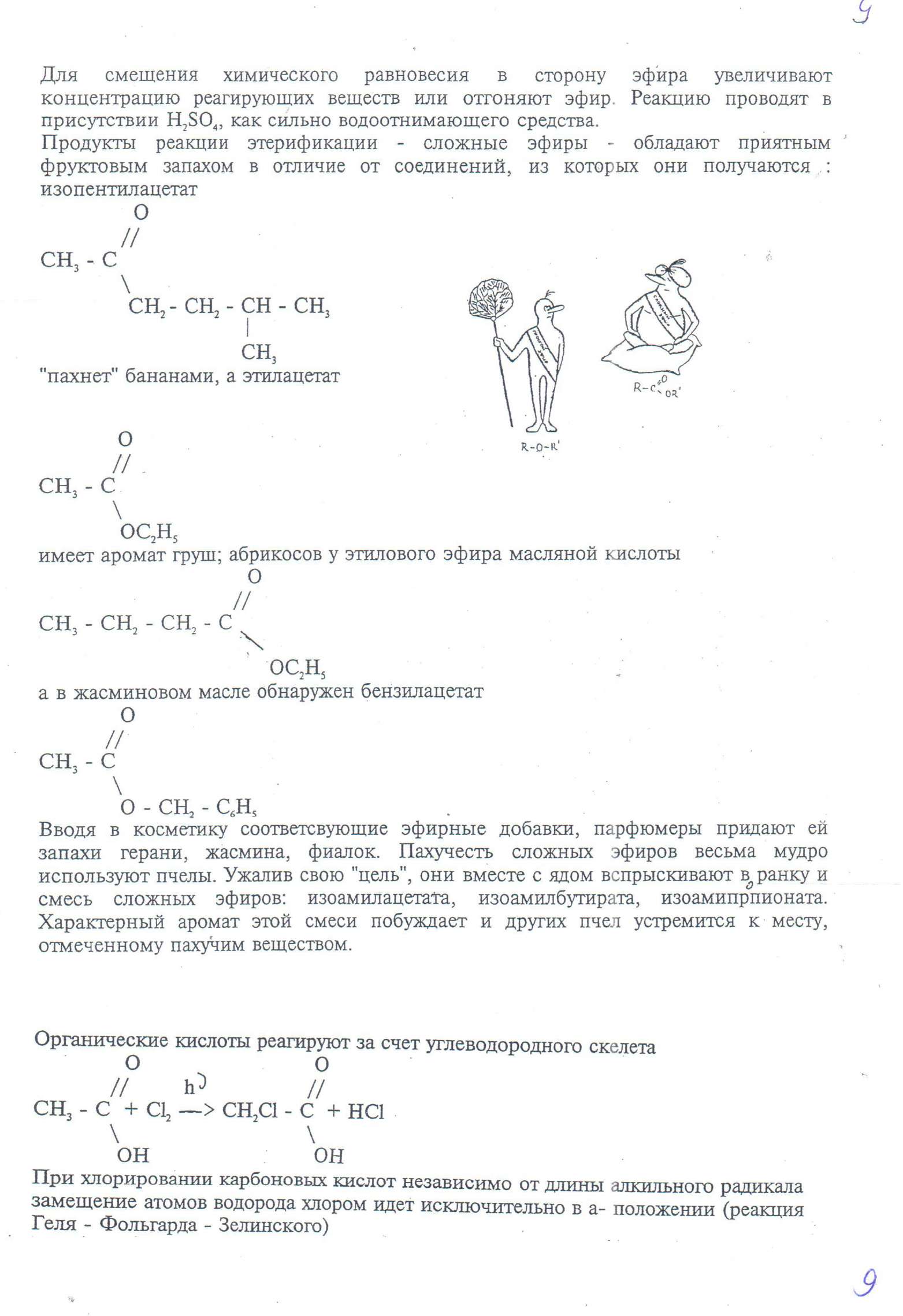 Лекция по теме: Кислоты (10 класс, органическая химия)