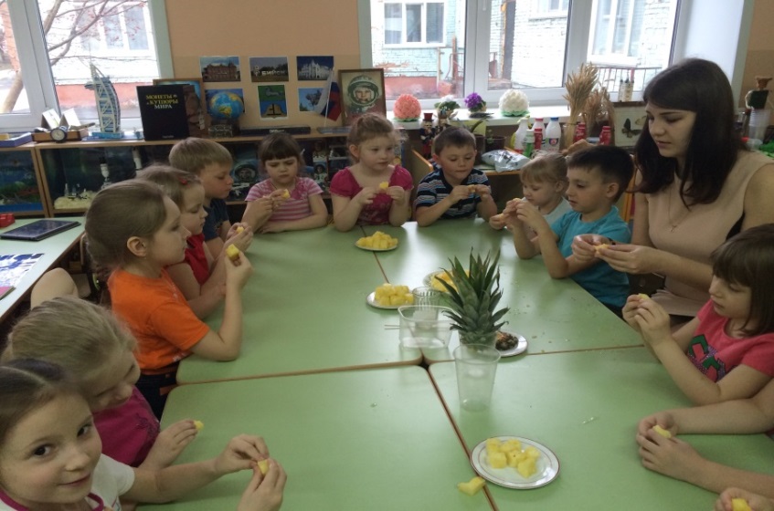 Проект в подготовительной группе Как растет ананас?