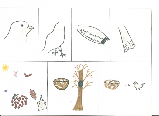 Конспект по ознакомленю с окружающим перелётные и зимующие птицы
