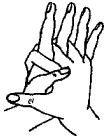 Упражнения и игры для развития тонкой моторики пальцев рук.
