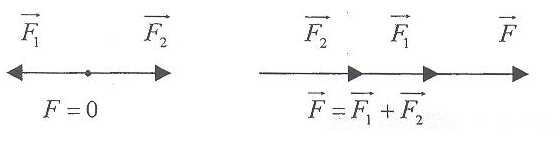 Урок по физике на тему Законы Ньютона