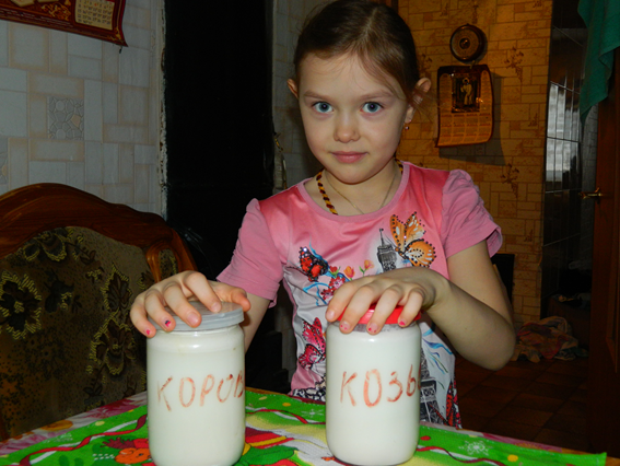 Проектная деятельность в начальной школе Какое молоко полезнее коровье или козье
