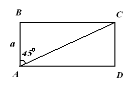 Урок на тему Площади прямоугольника и прямоугольного треугольника (8 класс)