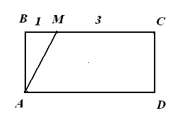 Урок на тему Площади прямоугольника и прямоугольного треугольника (8 класс)