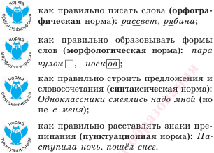 Платное занятие по русскому языку на тему Нормы литературного языка (5 класс)