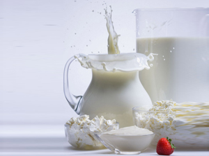 Исследовательская работа Какое молоко полезнее?