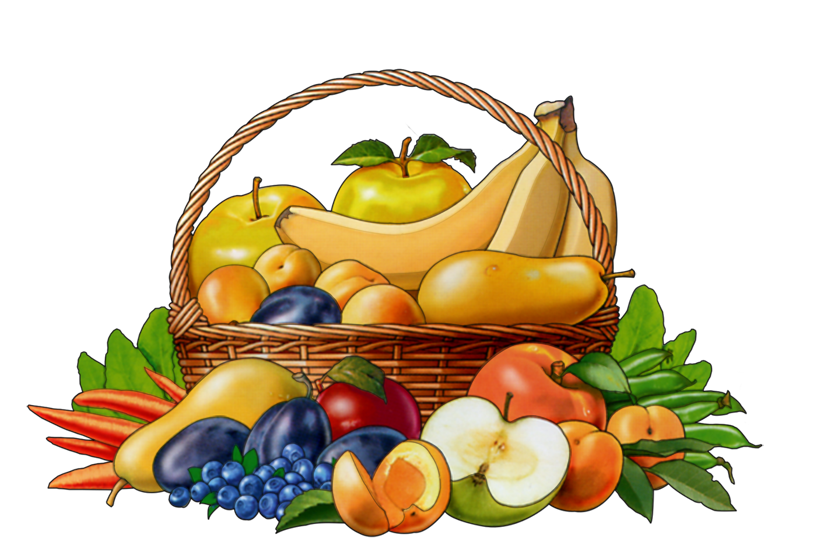 Открытый урок по логопедии Овощи-фрукты