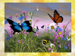 Конспект урока по изобразительному искусству,«Танец бабочек-красавиц», 1 класс