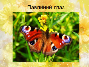 Конспект урока по изобразительному искусству,«Танец бабочек-красавиц», 1 класс