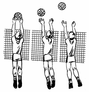 Разработка урока по физической культуре на тему: Волейбол