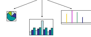 Дөңгелек диаграмма (5 сынып)