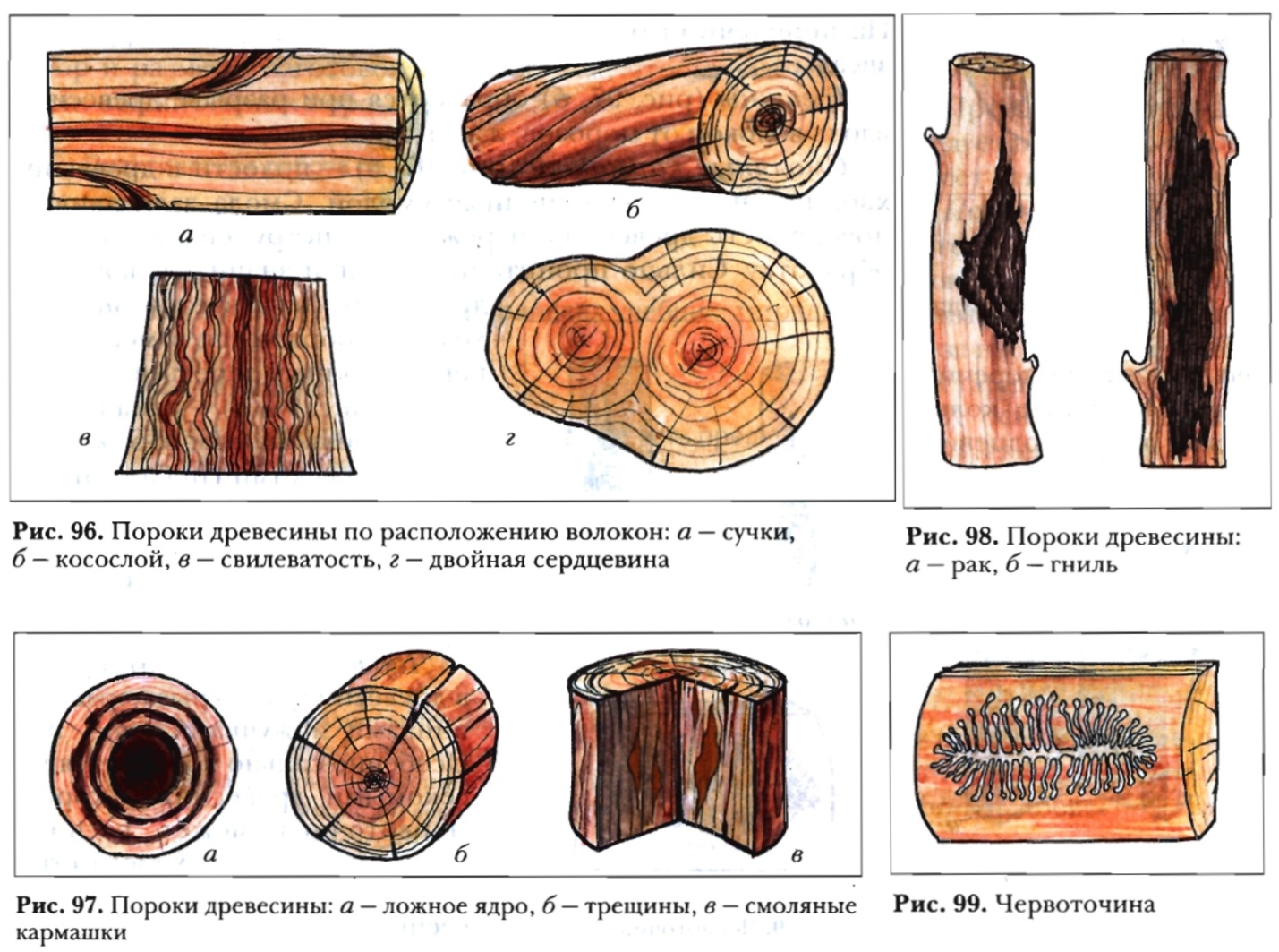 Тест - проверка знаний по темам заготовка и пороки древесины.