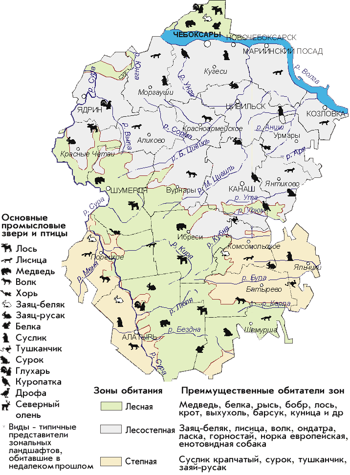 Карта животных Чувашской республики