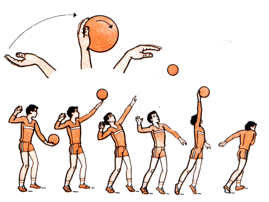 Разработка открытого урока по теме: Волейбол