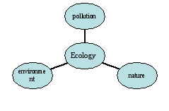 Ecology, geography and nature 10 th grade