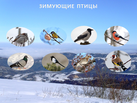 Конспект классного часа по окружающему миру Зимующие птицы 4 класс