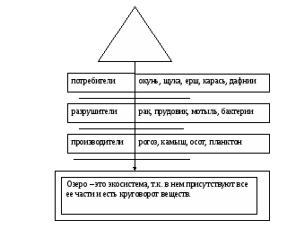 Урок по окружающему миру Экосистема озера