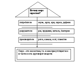 Урок по окружающему миру Экосистема озера