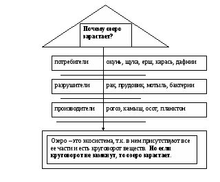 Урок по окружающему миру Экосистема озера