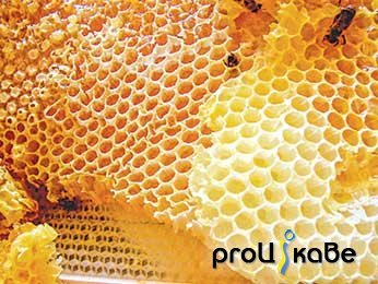 Продукт проекта буклет Таємниці бджілки- трудівниці (2 класс)