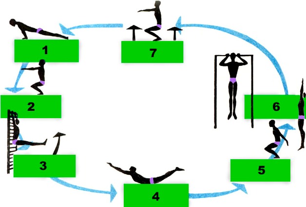 Конспект урока по разделу Гимнастика 10 класс