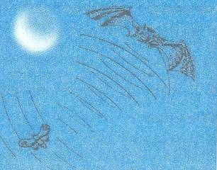 Физика пәнінен ашық сабақтың тақырыбы: Дыбыс. Дыбыстың сипаииамалары (9 сынып)