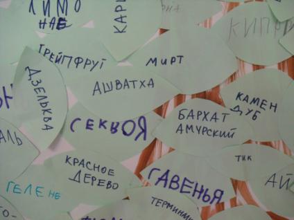 Подборка заданий для предметной недели по русскому языку в начальных классах