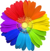 Познавательно- информационный праздник цветов «Дарите людям радость»