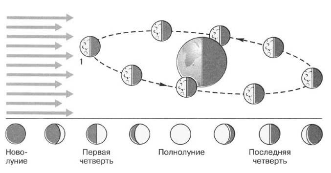 Олимпиада по астрономии 7-8 класс (школьный этап)