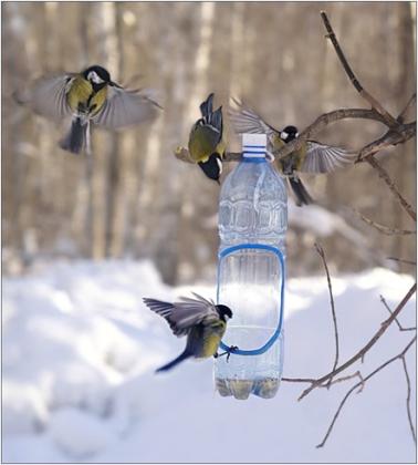 Исследовательская работа Покормите птиц зимой