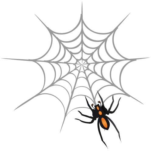 Исследовательская работа на тему Выявление отличительных особенностей ловчих сетей пауков