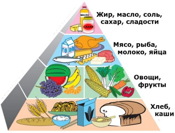 Рабочая программа по физической культуре (индивидуальная) 7 класс