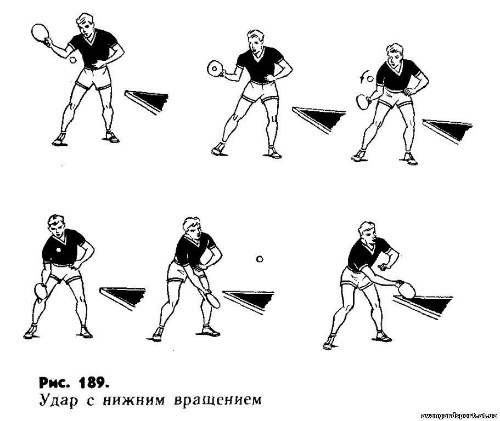 Рабочая программа по физической культуре (индивидуальная) 7 класс