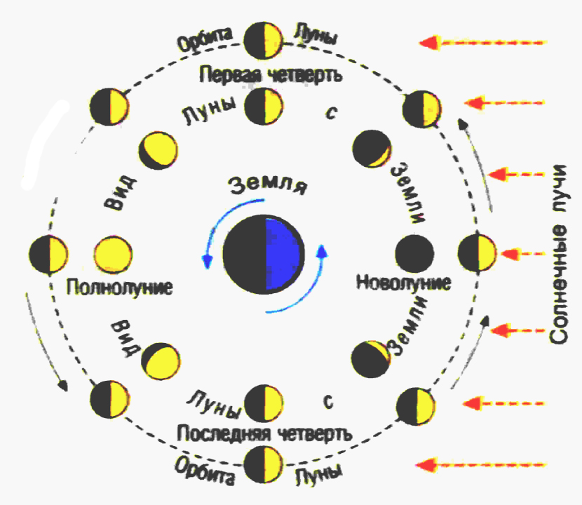 Карта солнца и луны. Движение Луны схема. Схема движения земли и Луны вокруг солнца. Фазы Луны относительно солнца схема. Положение Луны относительно земли и солнца в разные фазы цикла.