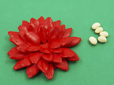 Методическая разработка занятия: Изготовление объёмной аппликации из тыквенных семян Чудо-цветок