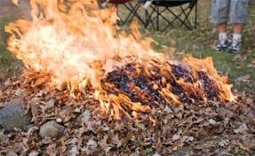Исследовательская работа Сжигание листвы и бытовых отходов