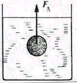 Разботка открытого урока по физике на тему Архимедова сила 7класс