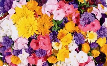 Сценарий празднования 8 марта «Бал Цветов»