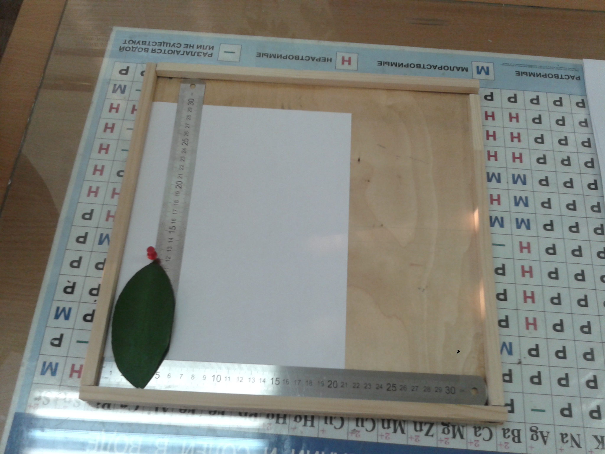Практико-исследовательский проект «Прибор для определения типа листовой пластинки у растений с помощью математического расчета»