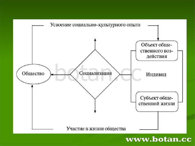 Развернутый план по обществознанию социализация индивида