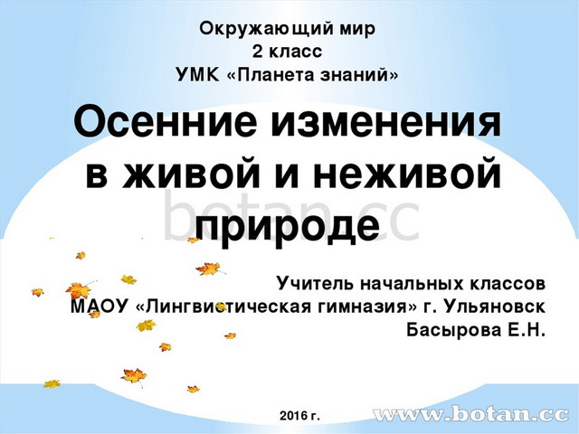 Изменения в природе осенью 2 класс. Изменения в неживой и живой природе осень. Осенние изменения в живой и неживой природе. Изменения в живой и неживой природе осенью. Изменения в неживой природе осенью 2 класс.