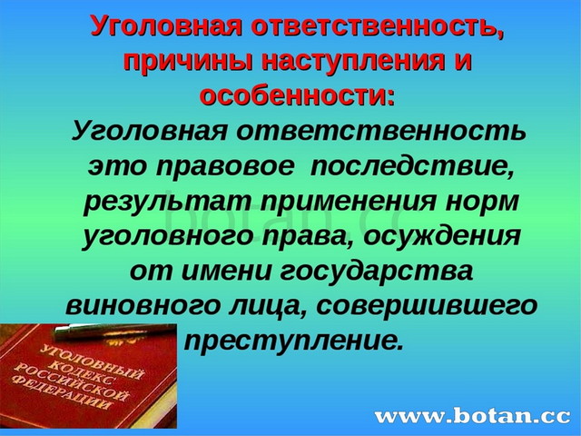 Уголовная ответственность и наказание презентация 11 класс право певцова