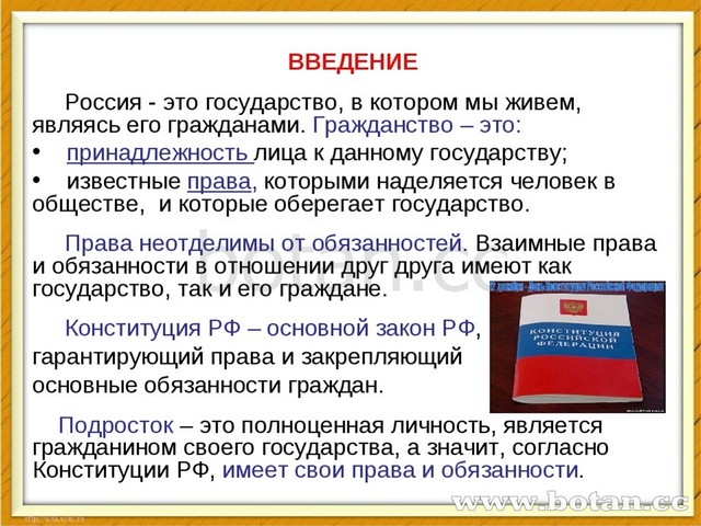 Презентация на тему подросток как гражданин